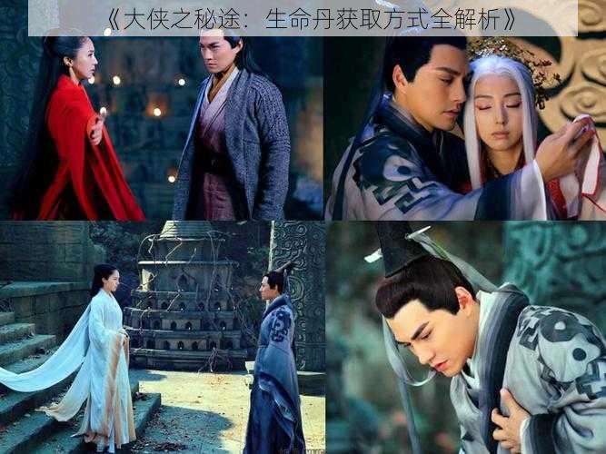 《大侠之秘途:生命丹获取方式全解析》