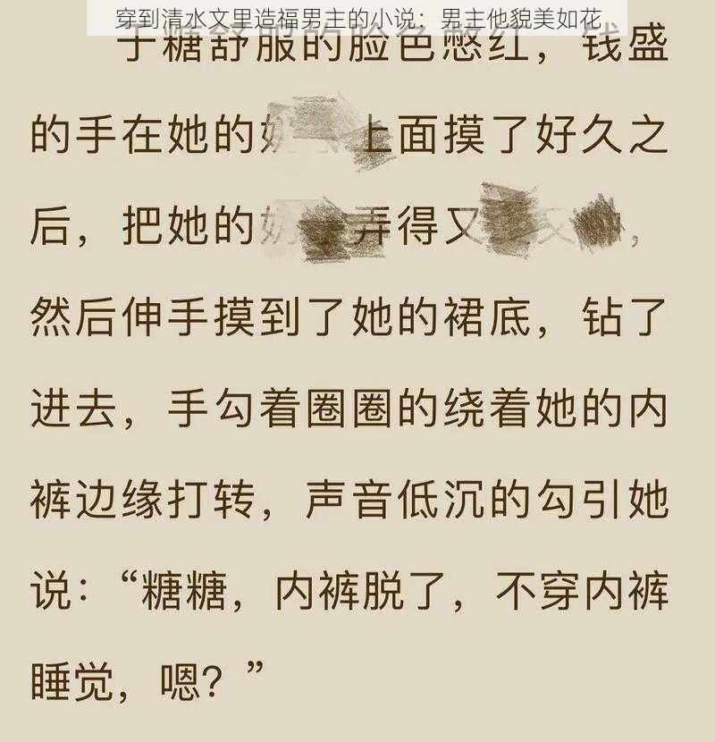 穿到清水文里造福男主的小说:男主他貌美如花
