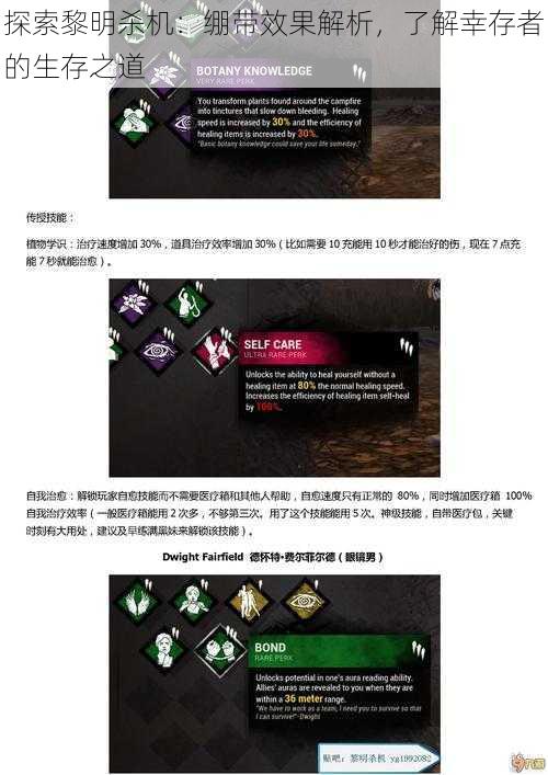 探索黎明杀机:绷带效果解析,了解幸存者的生存之道